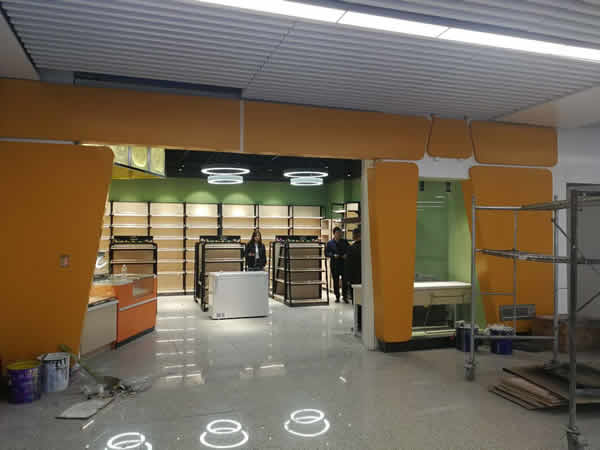 2019���F܉����ͨ������